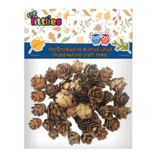 Αποξηραμένα κουκουνάρια μικρά 20gr The Littles